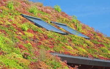 Hardley Street living roof systems