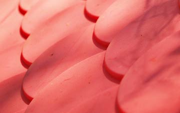 Hardley Street plastic roof costs