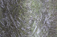 Hardley Street fibreglass roof work